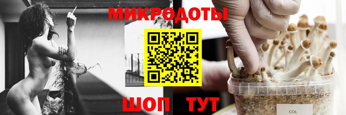 Псилоцибиновые грибы Magic Shrooms Сарапул